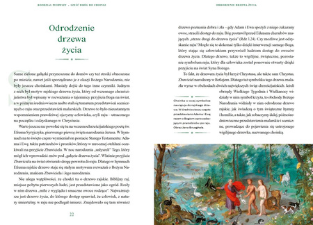 Choinka. 2000 lat tradycji Bożego Narodzenia