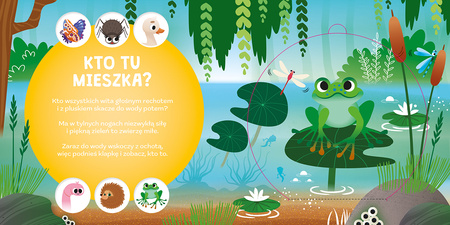 Czy już wiesz, gdzie śpi jeż? Kto mieszka na łące