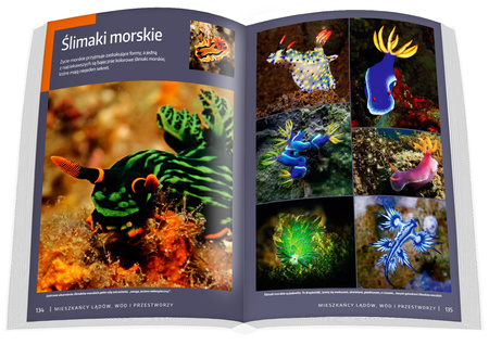 Podróże niezwykłe poza utartym szlakiem 2024