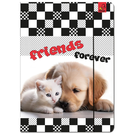 Paczka Teczka A4 z gumką Kot i Pies 5 sztuk