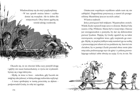 Mieszko, ty wikingu!. Ale historia... wyd. 2022