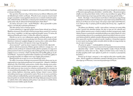 Lalka. Kolorowa klasyka