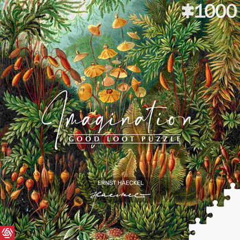 Puzzle 1000 Imagination Ernst Haeckel Muscinae