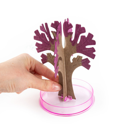 Kwitnące drzewo sakura Kidea