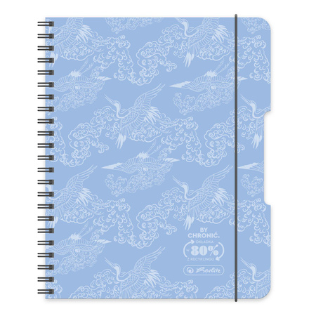 Paczka Kołobrulion A5 80 k. kratka Eco PP pastel błękit 4 szt.