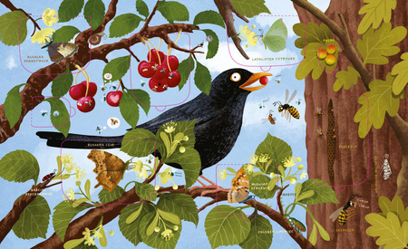 Rok w lesie. Robaczki. Książka z okienkami wyd. 2025