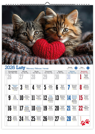 Kalendarz 2026 Koty ścienny KS A4 V3