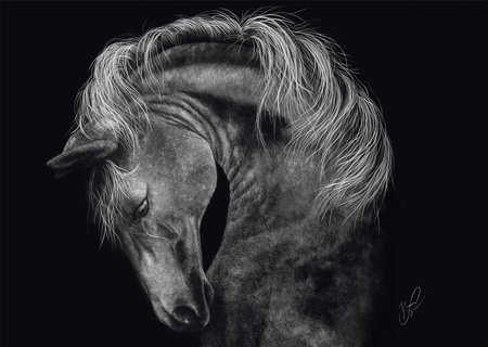 Puzzle PQ 1000 Ashley Rader Koń 112949