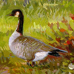 Puzzle 1000 CherryPazzi The Golden Valley 30493