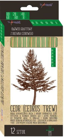 Ołówki z drewna cedrowego mix 12 sztuk