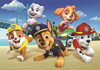 Puzzle 60 maxi super kolor Paw patrol 26591