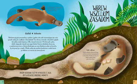 Królowe świata zwierząt. Niezwykłe przedstawicielki płci żeńskiej