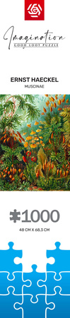 Puzzle 1000 Imagination Ernst Haeckel Muscinae