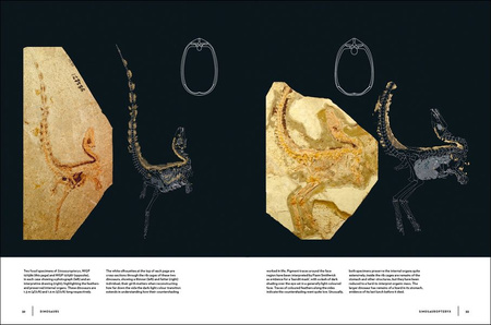 Dinosaurs wer. angielska