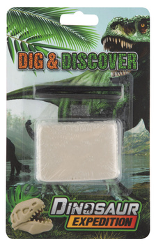 Wykopaliska skamieniałości Czaszka dinozaura