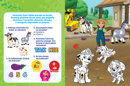 Dzień pełen wyzwań. Psi Patrol. Wodne zabawy