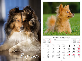 Kalendarz 2026 ścienny 7-k Psy