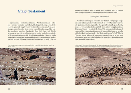 Przymierze z Bogiem. Obrazy Kościoła w Piśmie Świętym