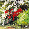 Puzzle 1000 CherryPazzi Garden of My Dreams 30486