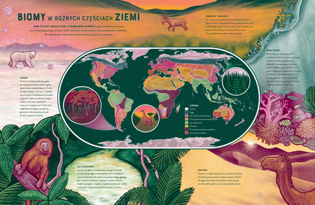 Życie. Zdumiewający świat bioróżnorodności