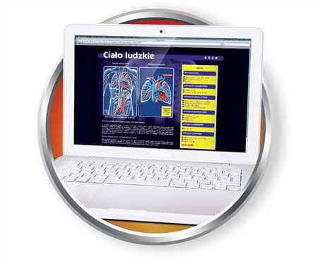 Ciało ludzkie 60249