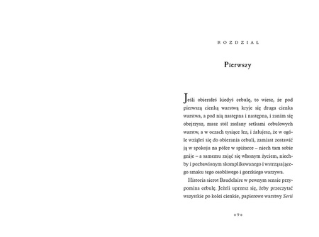 Koniec końców. Seria niefortunnych zdarzeń. Tom 13