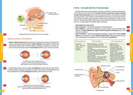 Biologia. Nowe Repetytorium. Szkoła podstawowa wyd.2025