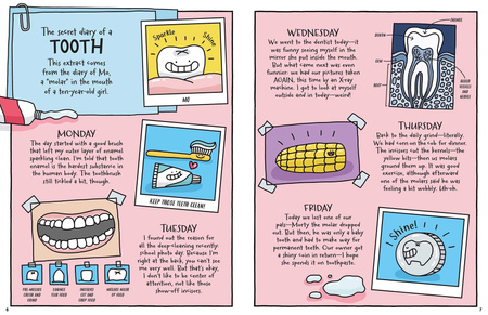 Dzień z życia skunksa, jelita i tego, kto to czyta. Przezabawny przewodnik przyrodniczy