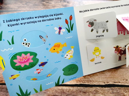 Spójrz, jak rosnę! Akademia mądrego dziecka. Mój świat