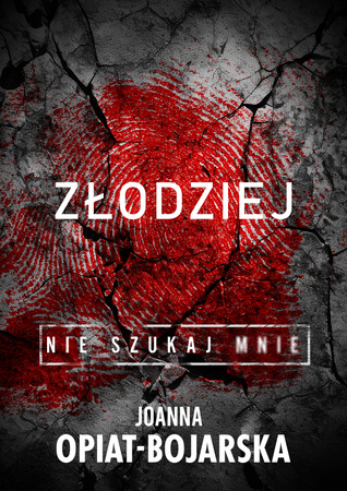 Złodziej. Nie szukaj mnie. Tom 1