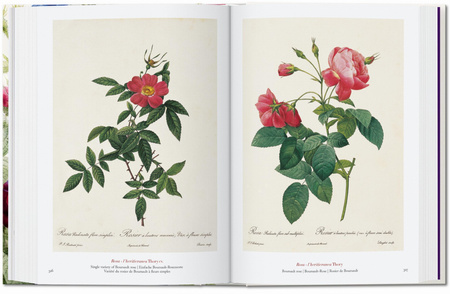 Redouté. The Book of Flowers wer. angielska