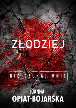 Złodziej. Nie szukaj mnie. Tom 1