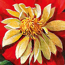 Puzzle 1000 CherryPazzi Summer Sensations 30127