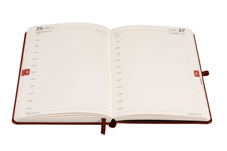 Kalendarz 2026 Formalizm A5 DNS brązowy