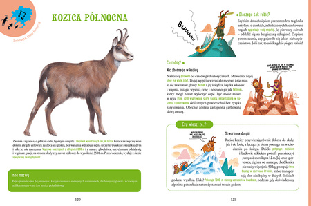 Cwane bestie. Zwierzęta, które szczypią, kłują, strzelają i wysysają krew