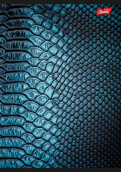 Paczka Zeszyt A5 60k linia after dark mix pakiet 10 sztuk