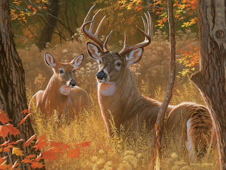 Puzzle 275 XL Urocze rendez-vous 113081