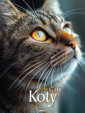 Kalendarz 2026 Koty KSM-4