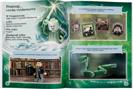 Lego Harry Potter Lord Voldemort LNC-6414P1