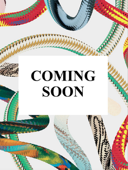 Goya. The Complete Prints