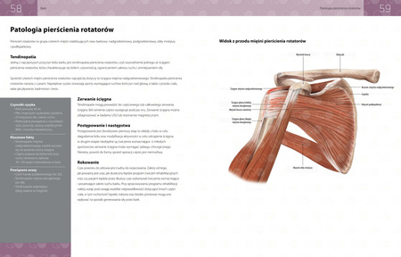 Anatomia urazów sportowych