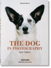 The Dog in Photography 1839-Today wer. angielska