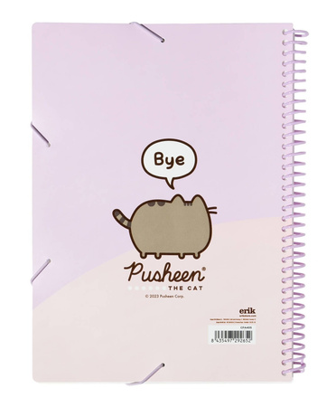 Skoroszyt A4 z gumką Pusheen CFA405 30 kartek