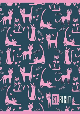 Paczka Zeszyt A5 32k. kratka ST.RIGHT dziewczęcy mix pakiet 15 szt.