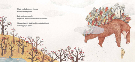 Niedźwiedź łowca motyli wyd. 5