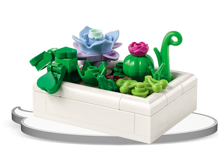 Lego Botanicals Miniaturowy Pustynny Ogród MAB-6601