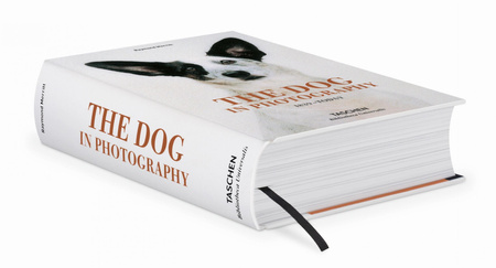 The Dog in Photography 1839-Today wer. angielska