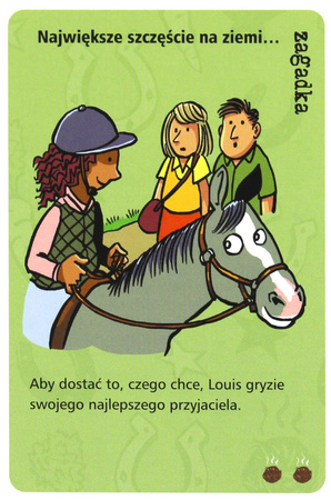 Gra Kucykowe historie