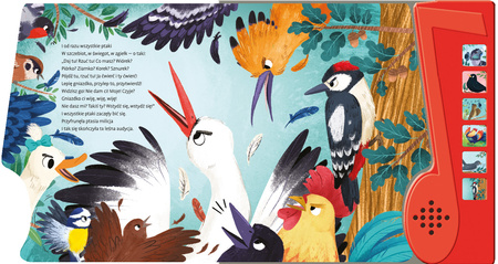 Ptasie radio. Wiersze do słuchania