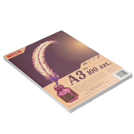Papier Brystol A3 100 ark.170g